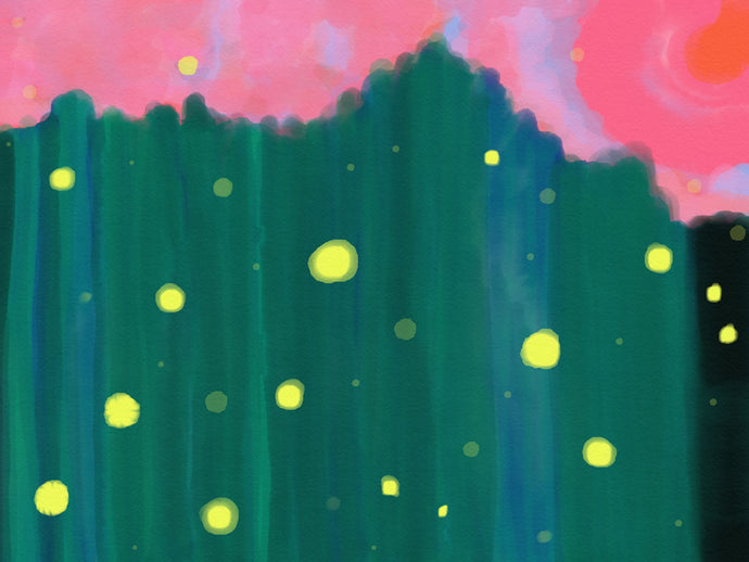 Tall Grass Pink Sky - Fireflies I